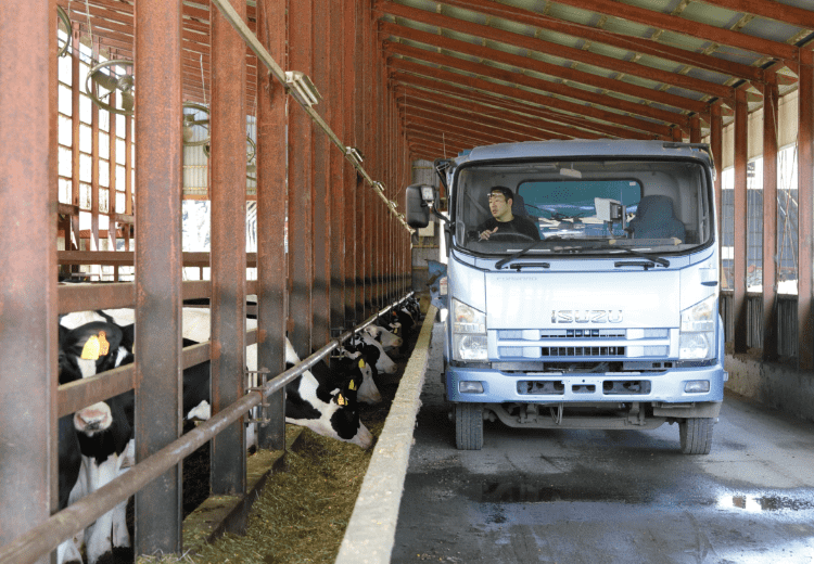 トラック型給餌車による給餌の様子