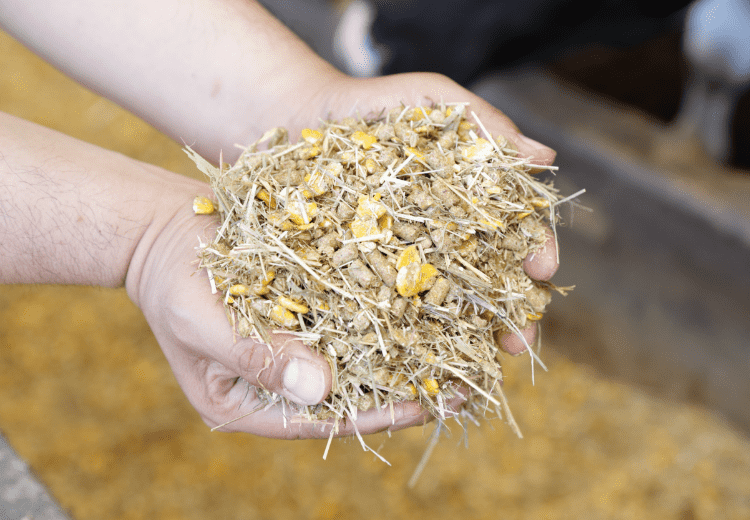 しほろ牛用に作られた専用の飼料