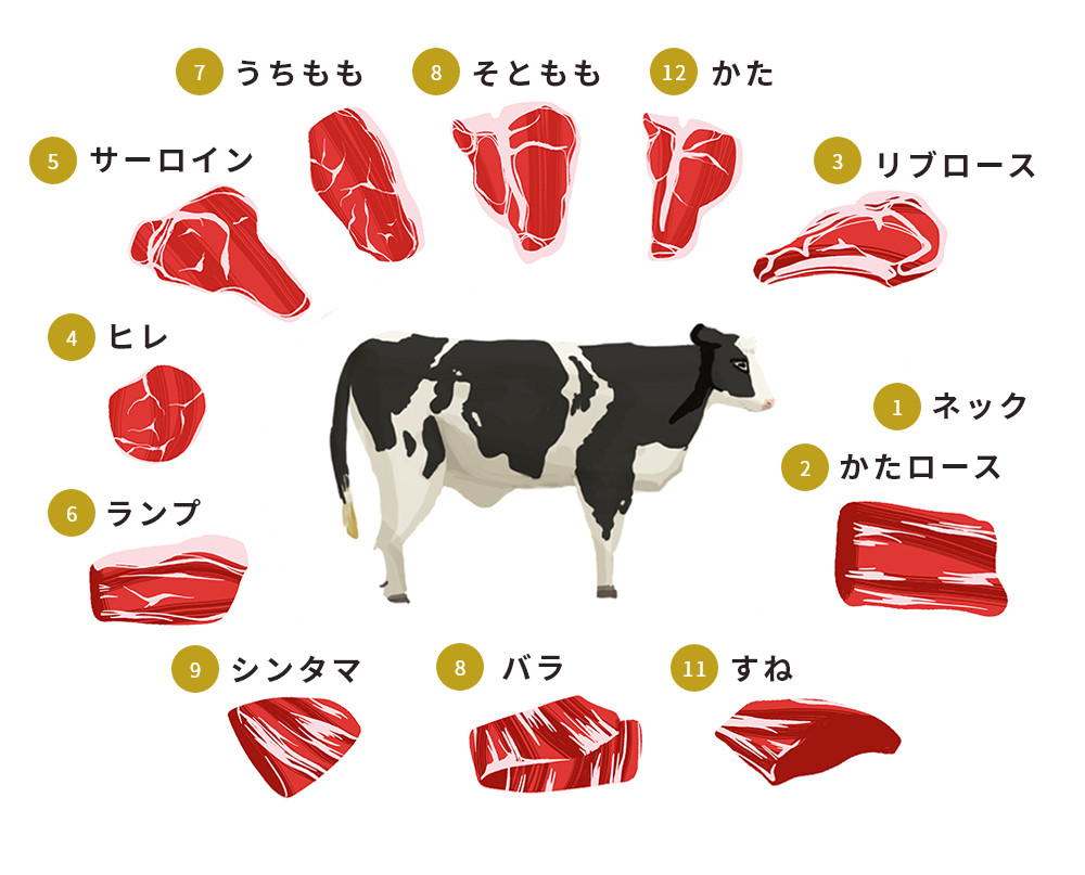 部位の紹介